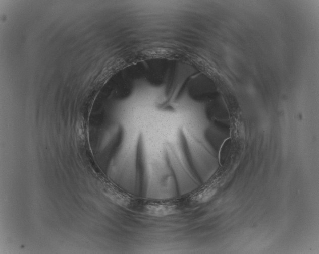 X0000074210561200609081534