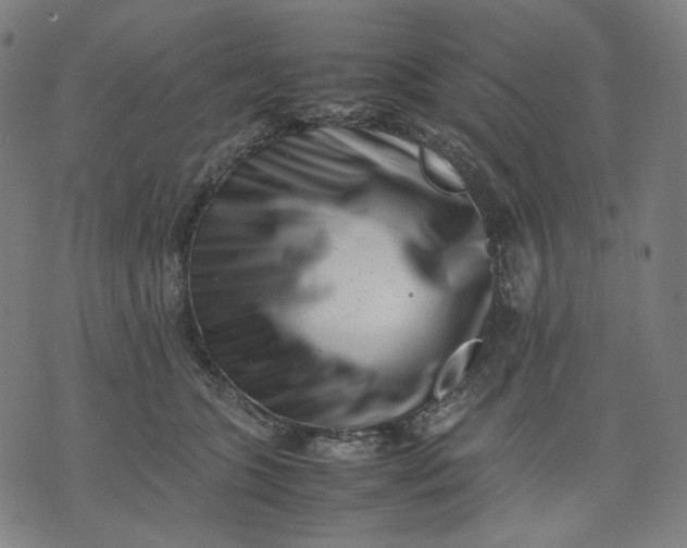 X0000074210563200609081534