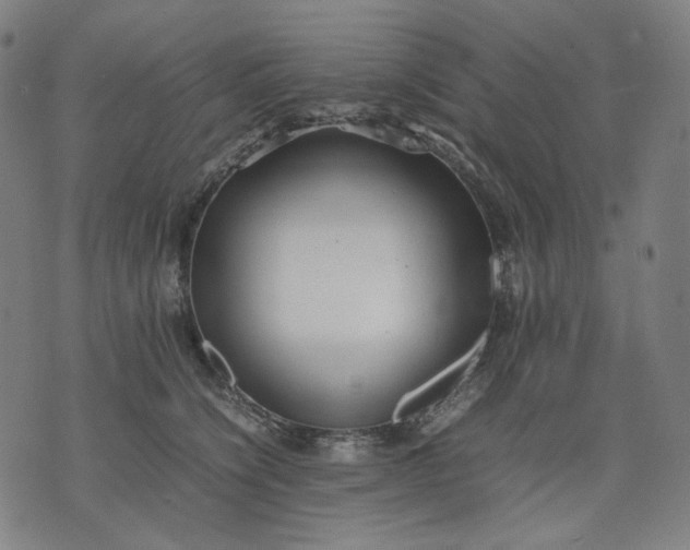 X0000074210564200609081534