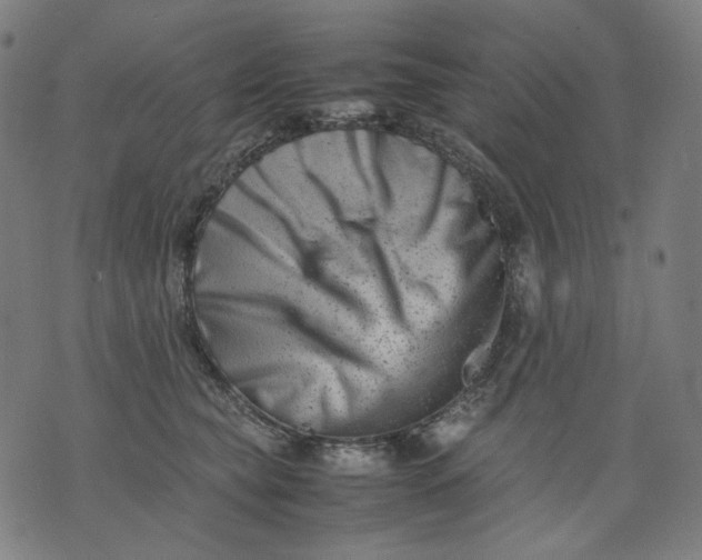 X0000074210565200609081534