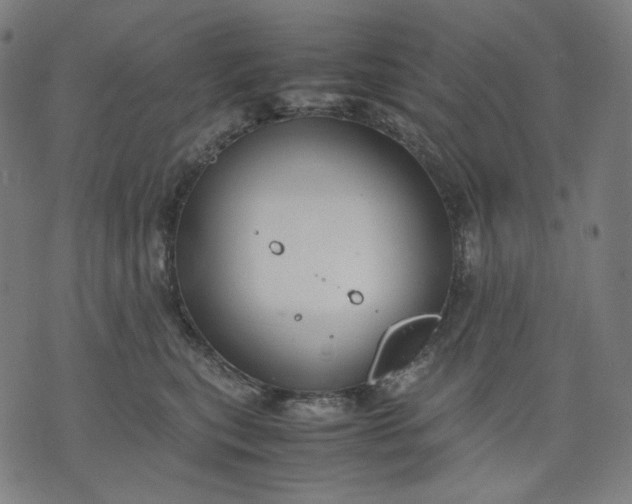 X0000074210567200609081534