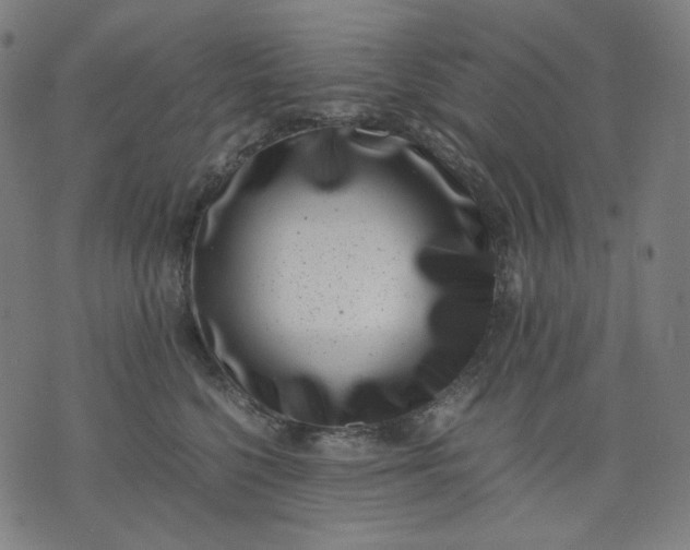 X0000074210568200609081534