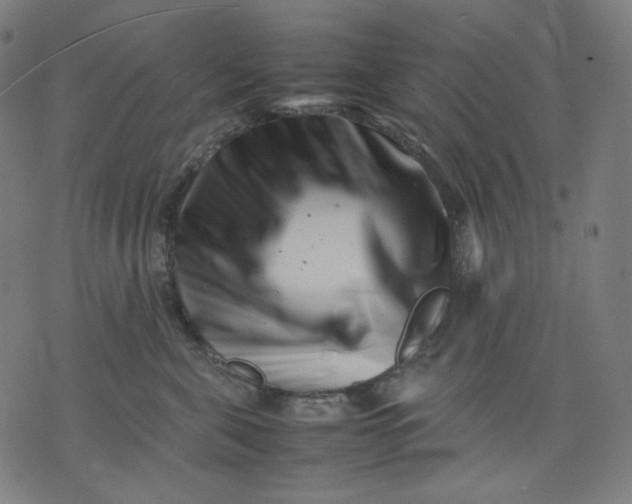 X0000074210571200609081534