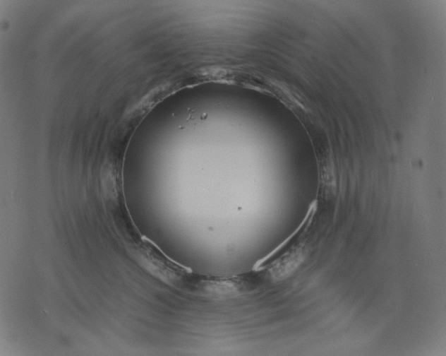 X0000074210572200609081534