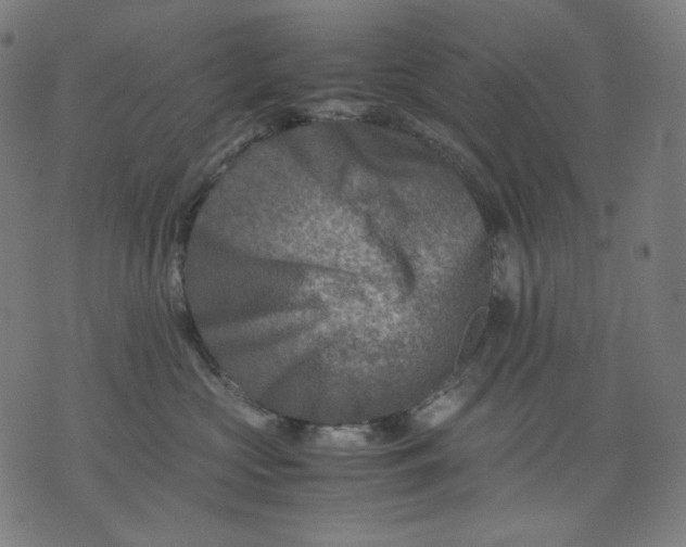 X0000074210573200609081534