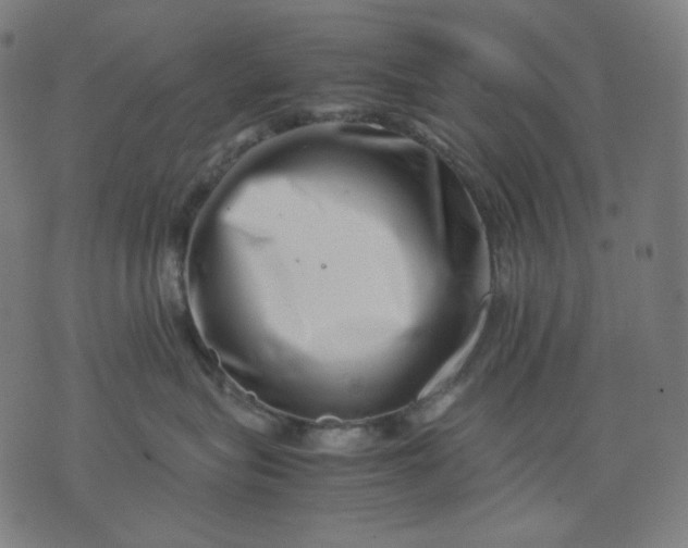 X0000074210575200609081534