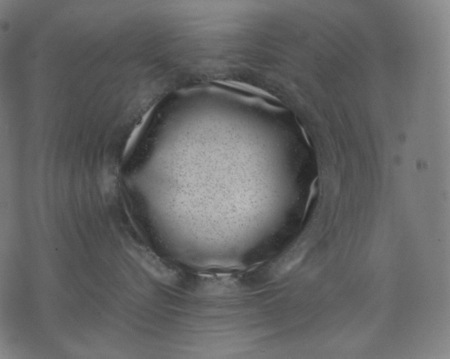 X0000074210576200609081534