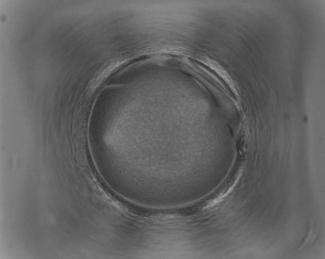 X0000074210577200609081533