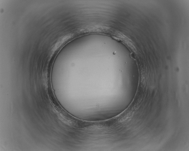 X0000074210578200609081533