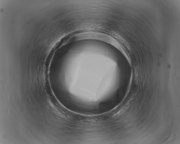 X0000074210580200609081533