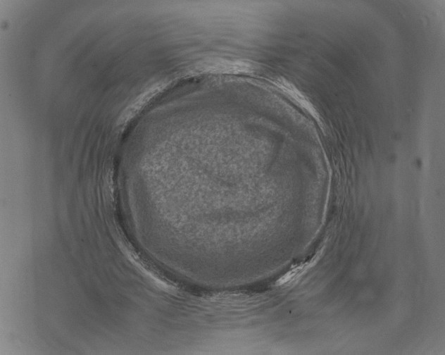 X0000074210581200609081533