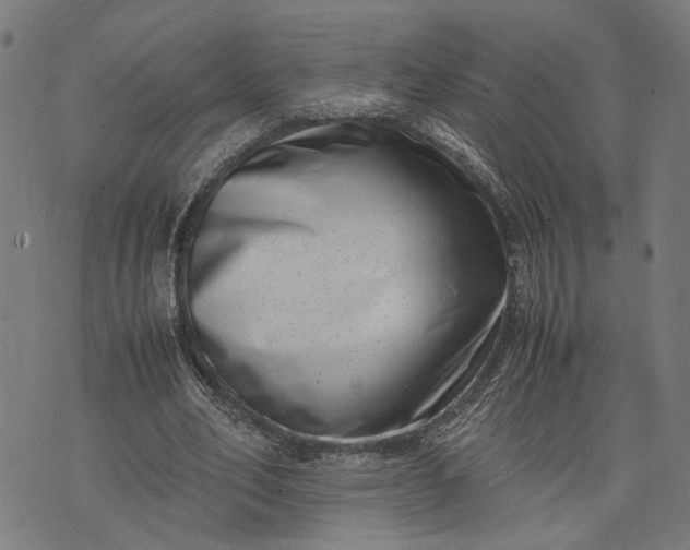 X0000074210582200609081533