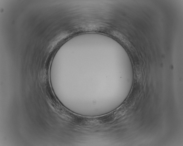 X0000074210583200609081533