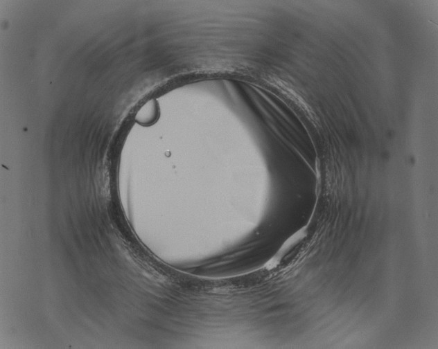 X0000074210584200609081533