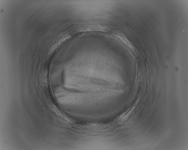 X0000074210585200609081533