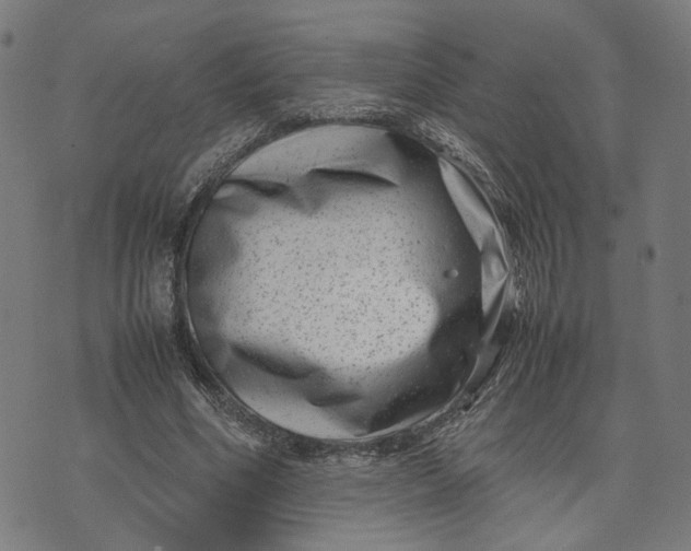 X0000074210586200609081533