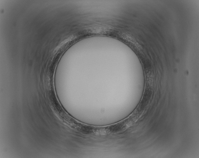 X0000074210587200609081533