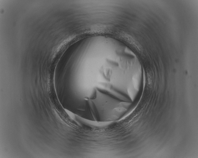 X0000074210588200609081533