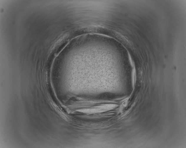 X0000074210589200609081533