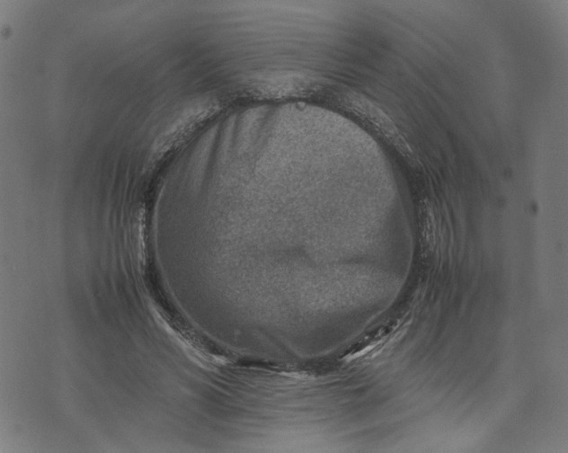 X0000074210590200609081533