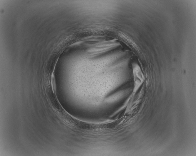 X0000074210593200609081533