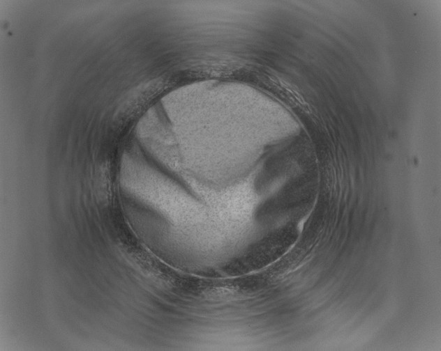 X0000074210594200609081533