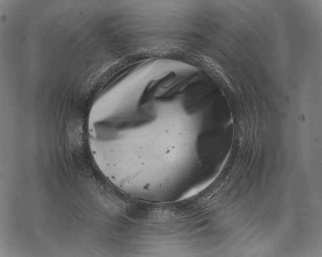 X0000074210596200609081533