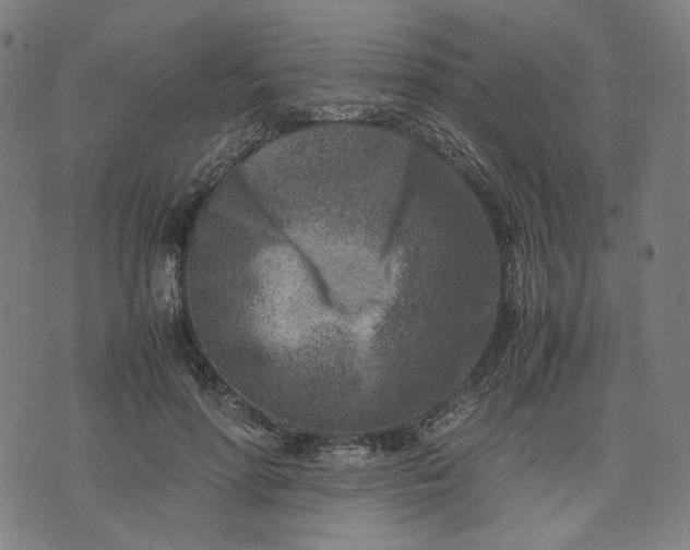 X0000074210598200609081533