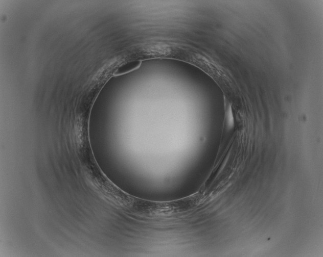 X0000074210600200609081533