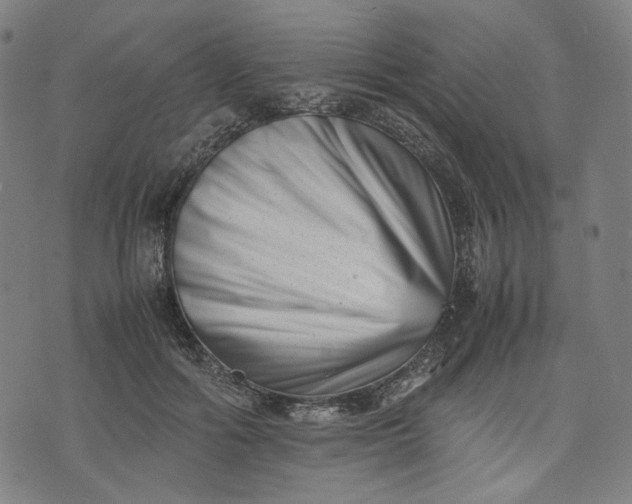 X0000074210602200609081533