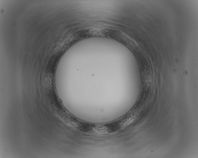 X0000074210603200609081533