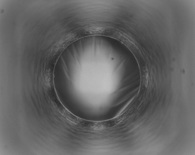 X0000074210604200609081533