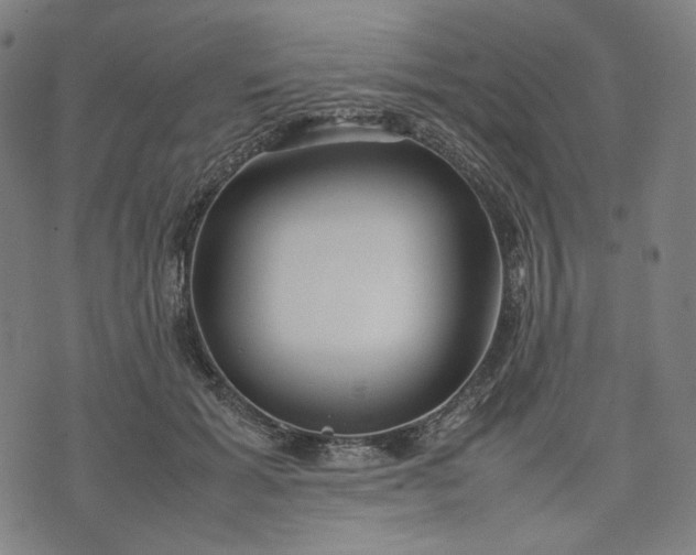 X0000074210605200609081533