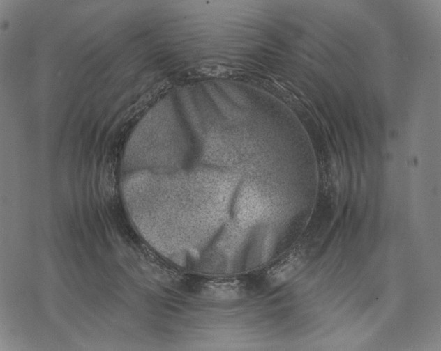 X0000074210606200609081533