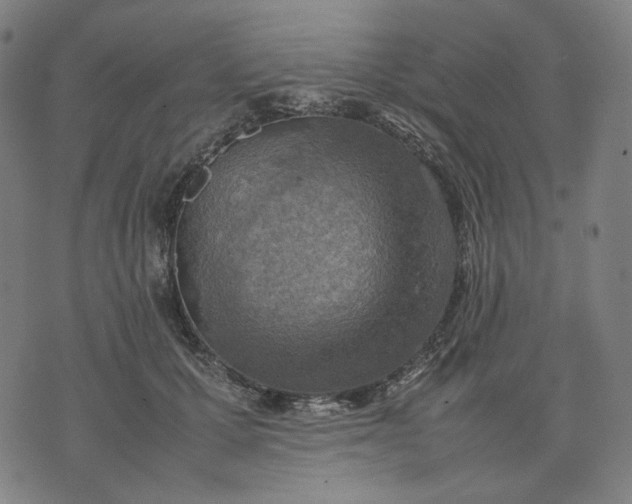 X0000074210607200609081533