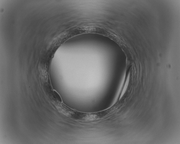 X0000074210609200609081533