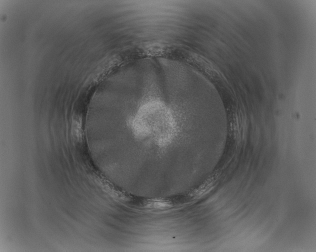 X0000074210610200609081533