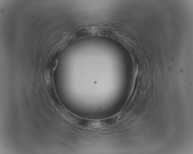 X0000074210611200609081533