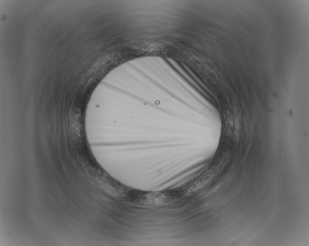 X0000074210612200609081533