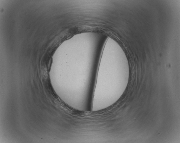 X0000074210617200609081532