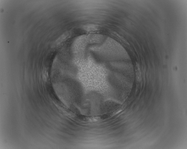 X0000074210618200609081532