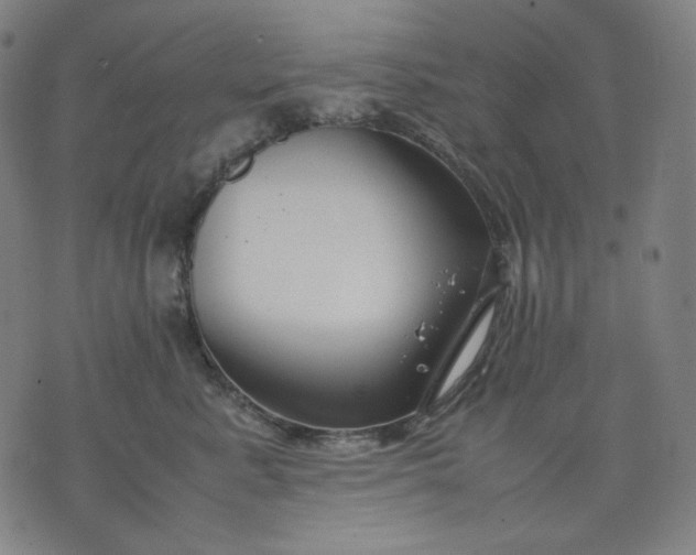 X0000074210619200609081532