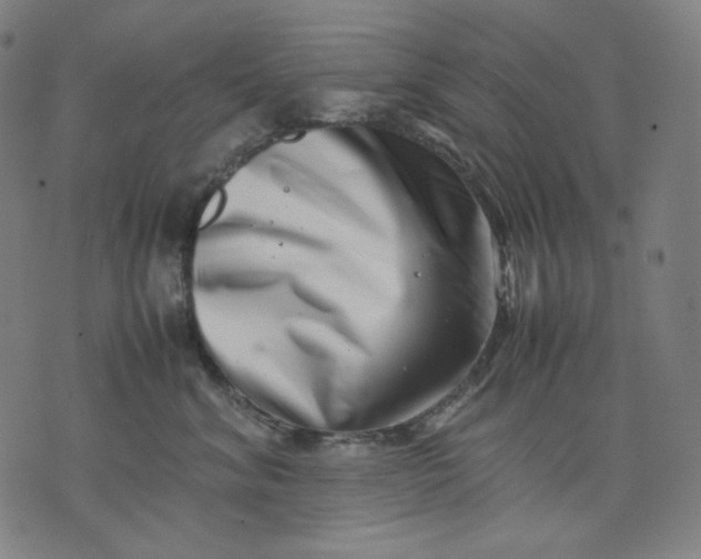 X0000074210620200609081532