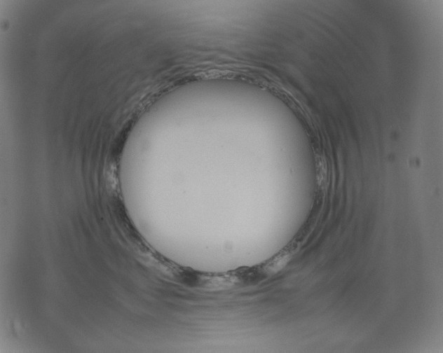 X0000074210621200609081532