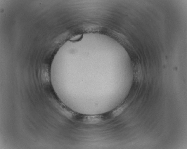 X0000074210622200609081532