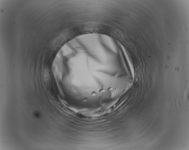 X0000074210623200609081532