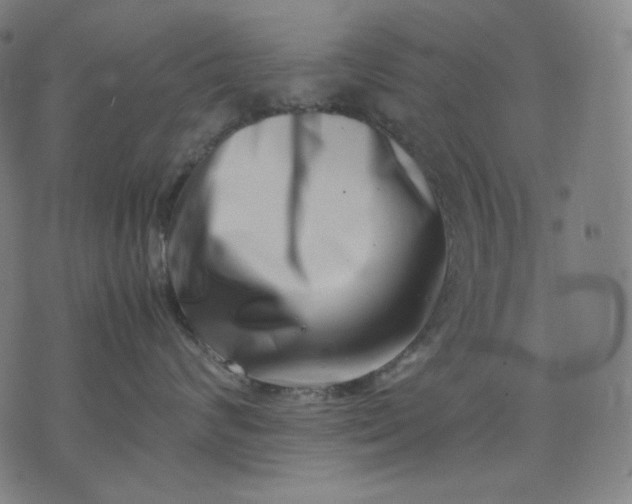 X0000074210624200609081532