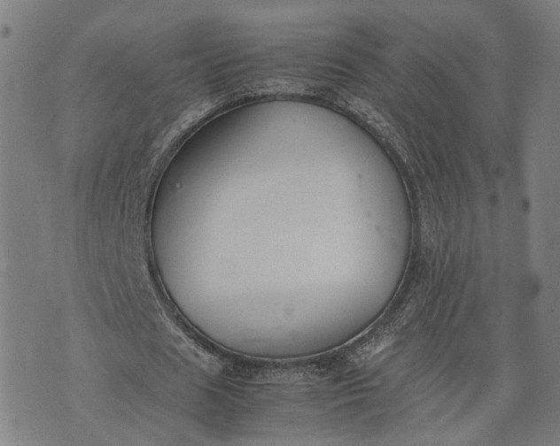 X0000074210625200609081532