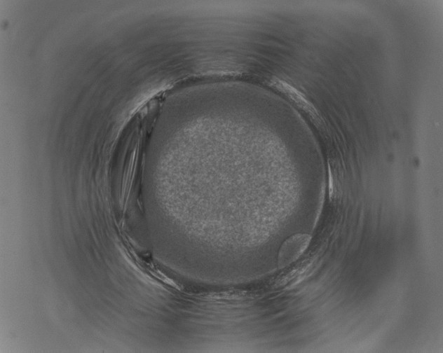 X0000074210627200609081532