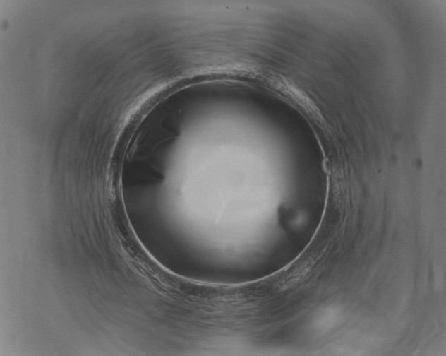 X0000074210628200609081532